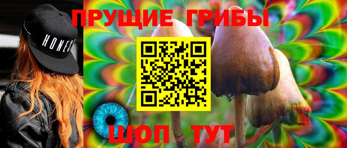 Королёв  Галлюциногенные грибы Psilocybine cubensis  Псилоцибиновые грибы мицелий  Вход с VPN 